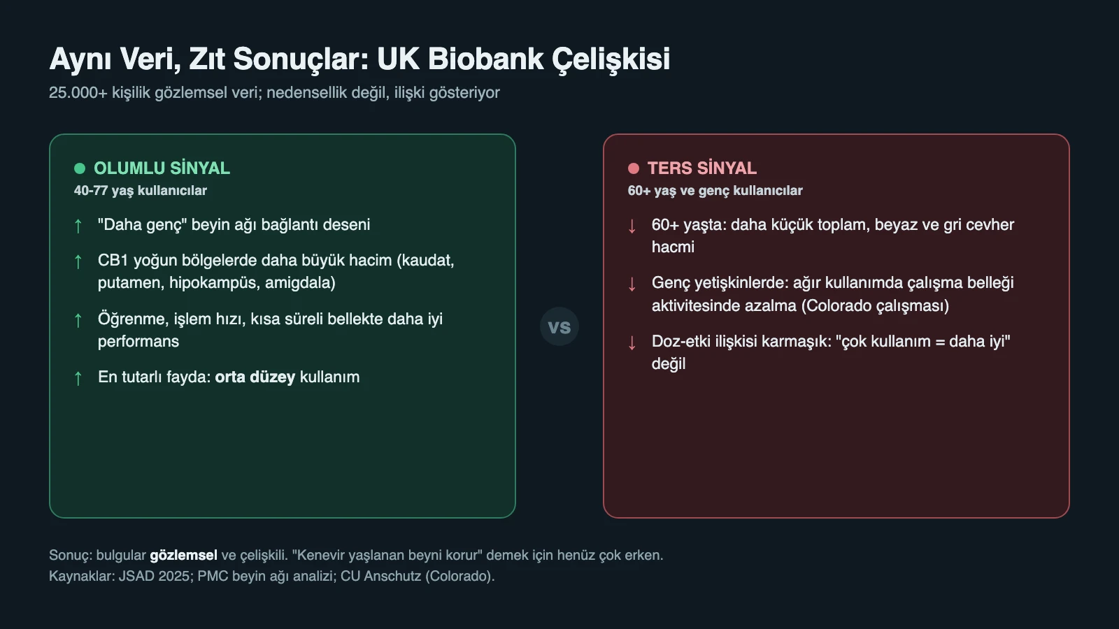 İki UK Biobank çalışmasının olumlu bulguları (40-77 yaş): daha genç beyin ağı desenleri, CB1 yoğun bölgelerde daha büyük hacim, daha iyi biliş; en tutarlı fayda orta düzey kullanımda