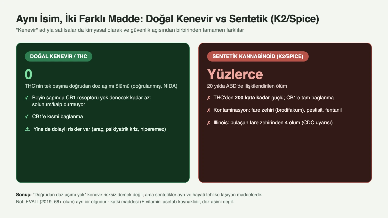 Karşılaştırma: doğal kenevir/THC beyin sapında CB1 reseptörü olmadığından doğrudan doz aşımı ölümü kaydedilmemiş; sentetik kannabinoidler (K2/Spice) THC'den 200 kata kadar güçlü, tam bağlanma yapıyor, kontaminasyon ve yüzlerce ölümle ilişkili
